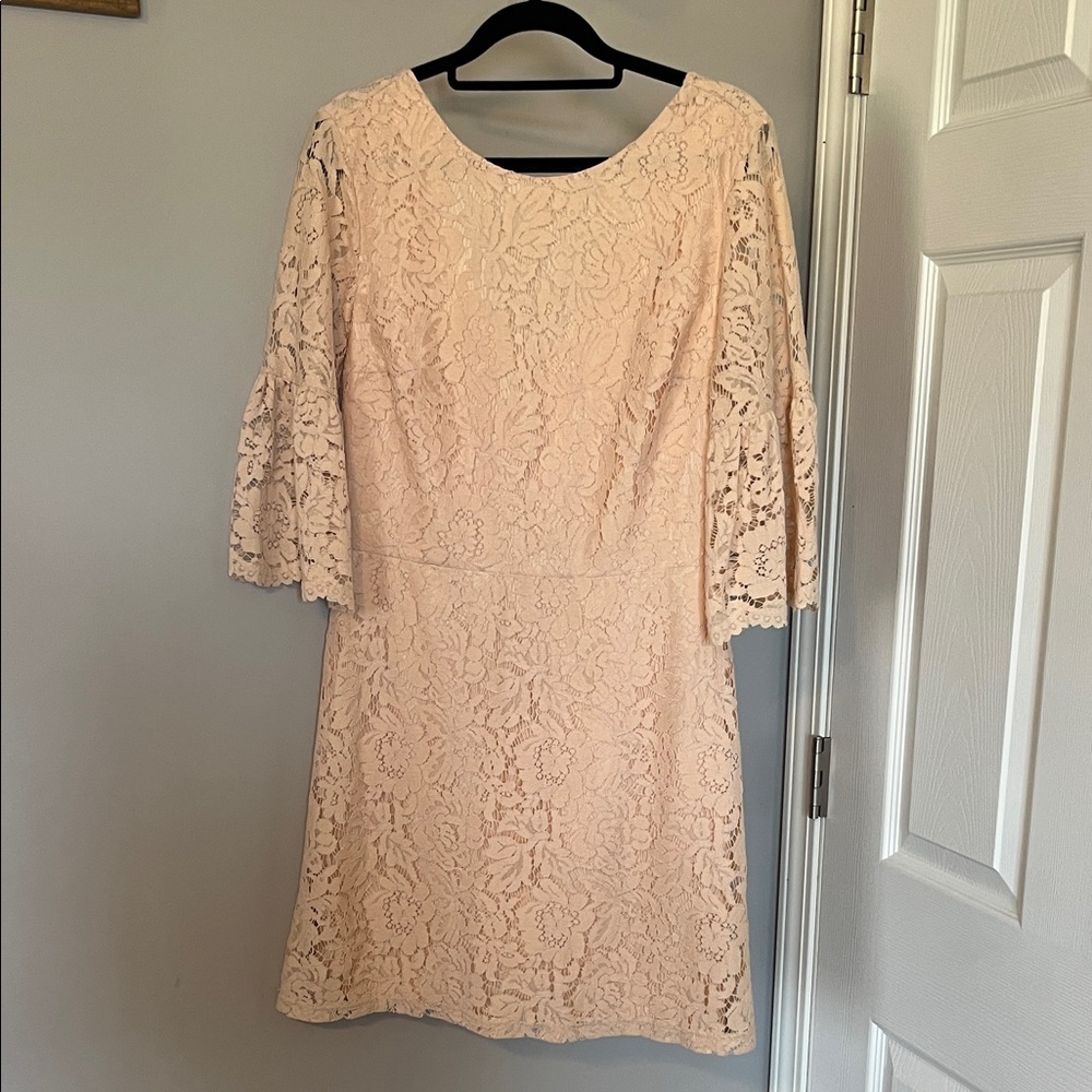 Miss Selfridge Blush Lace Mini Dress with Bell Sleeves